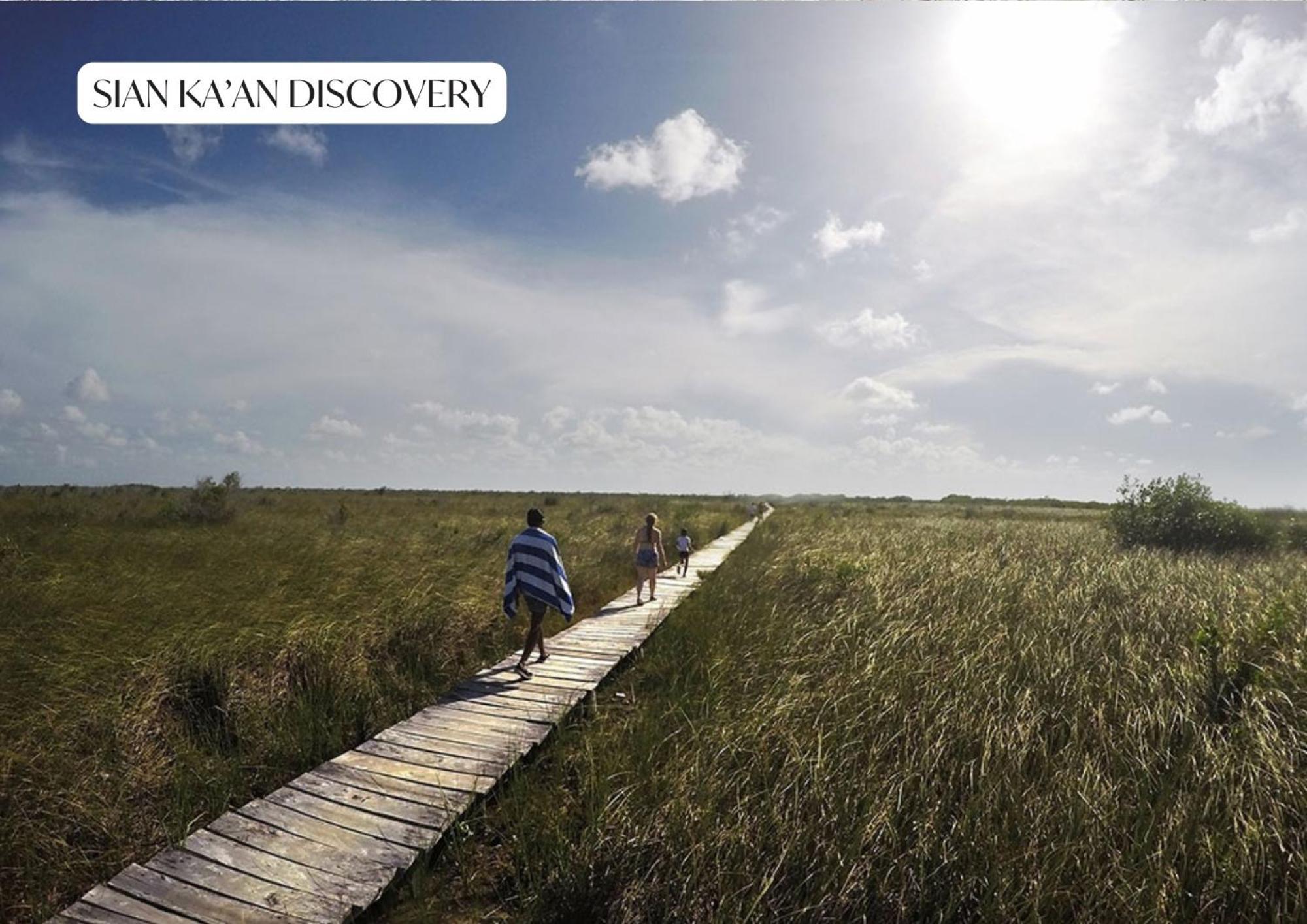 With Rooftop Pool, Gym, Coworking, Cinema * Tulum