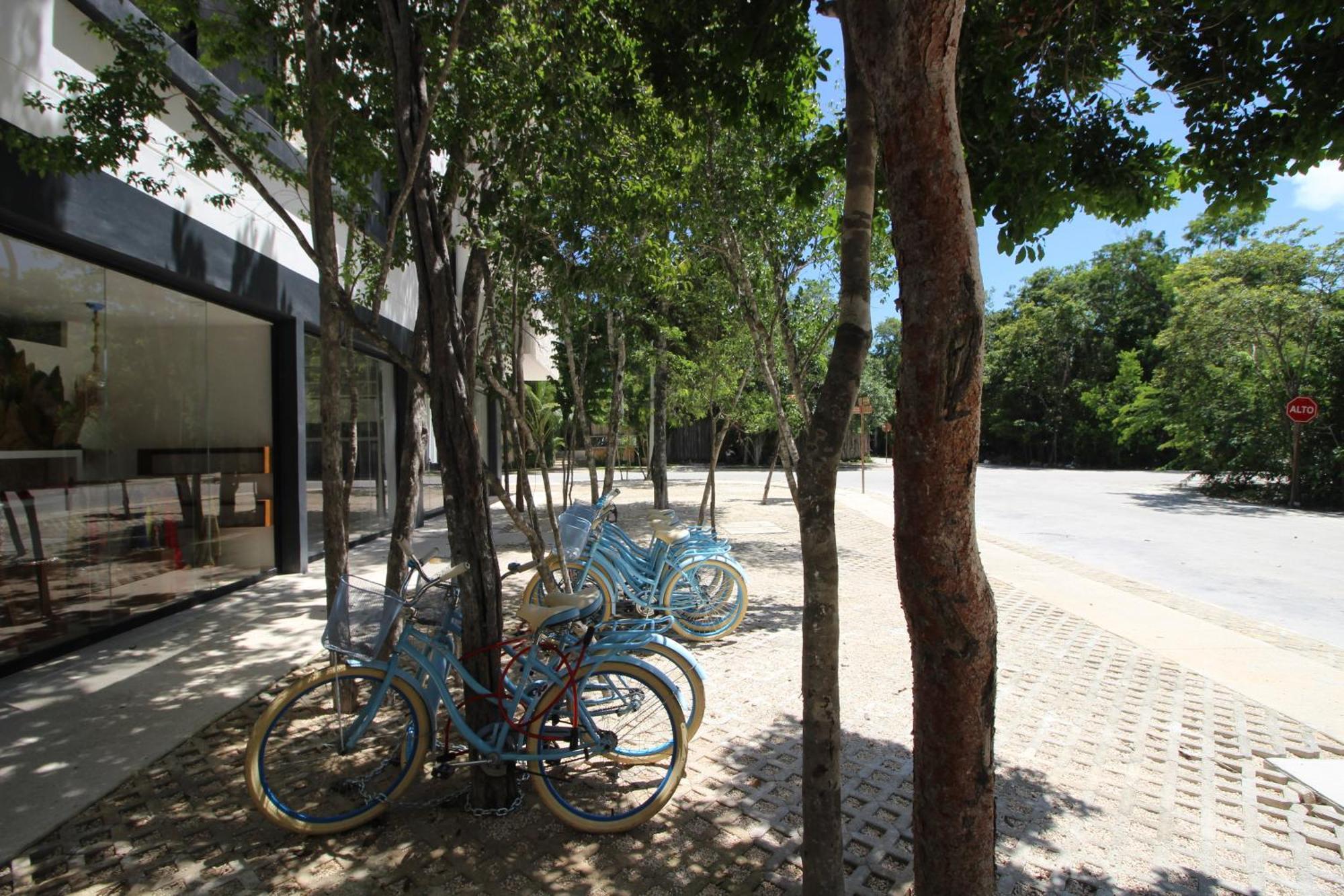 With Rooftop Pool, Gym, Coworking, Cinema Tulum