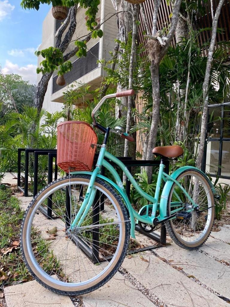 A Beautiful Family With A Private Pool A7 Tulum