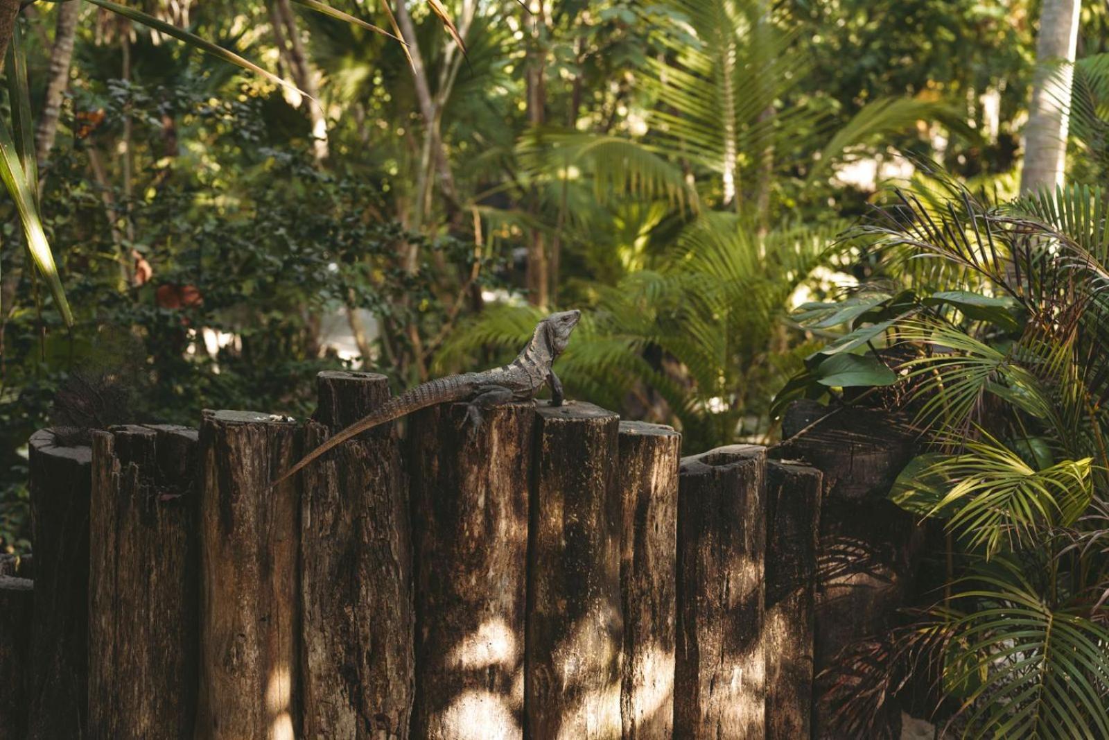 Sacred Hideaways * Tulum