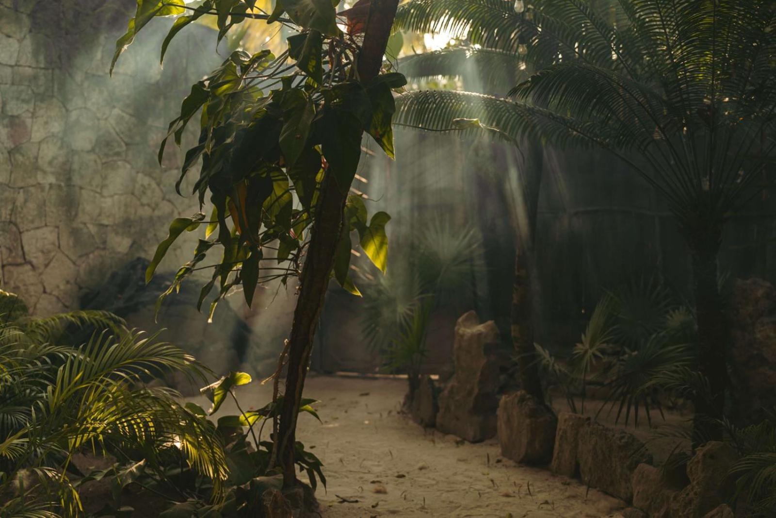 Sacred Hideaways Hotel Tulum