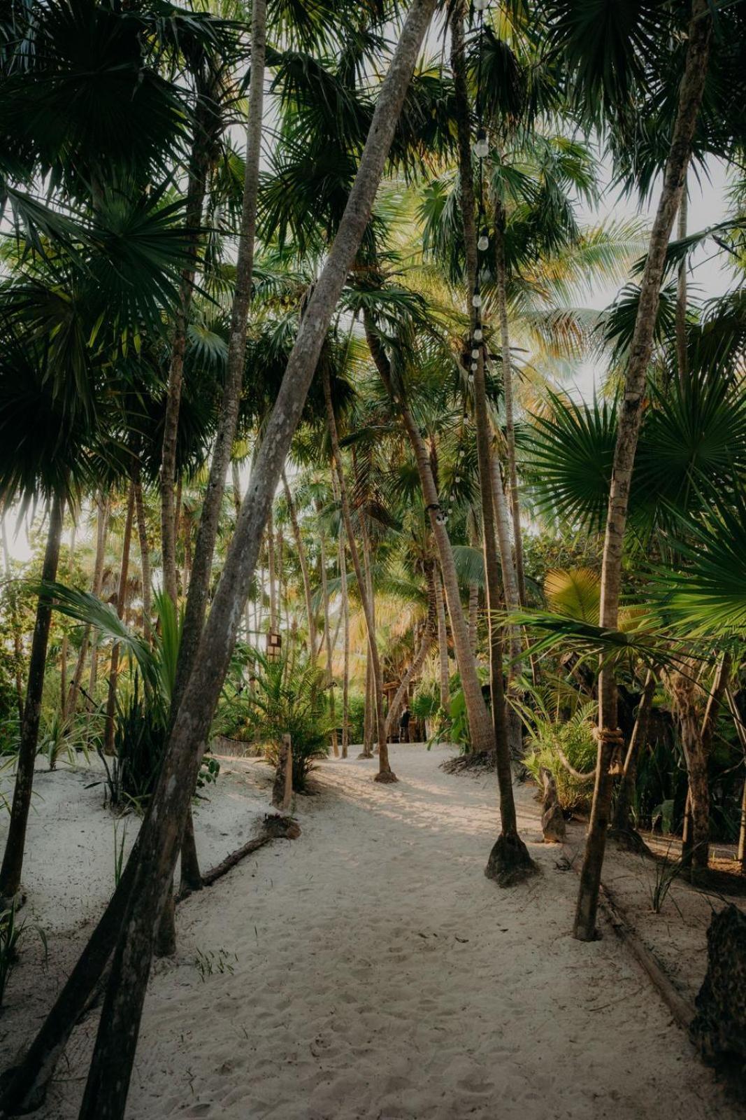 Sacred Hideaways Tulum