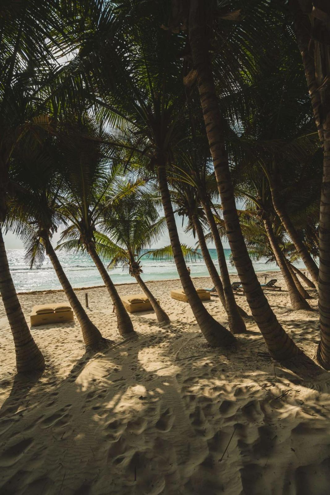 Sacred Hideaways Hotel Tulum