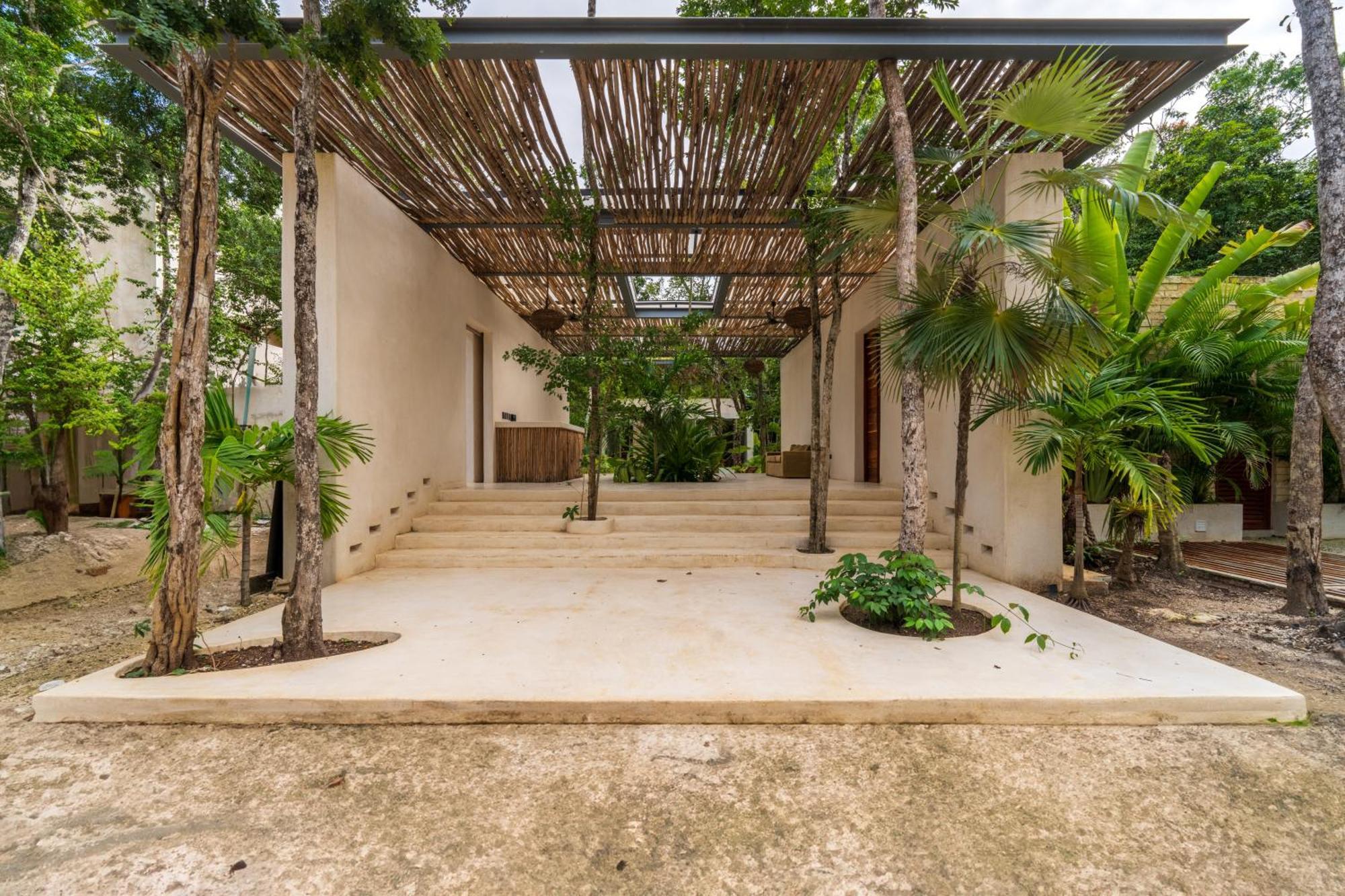 Chay Glass Jungle House