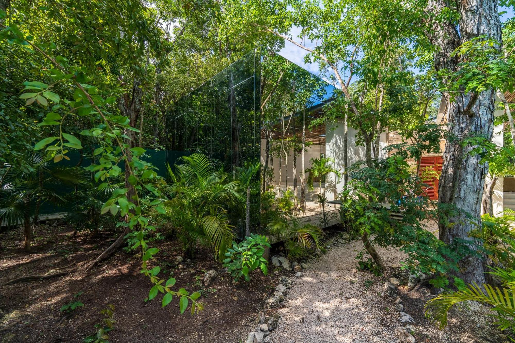 Chay Glass Jungle House