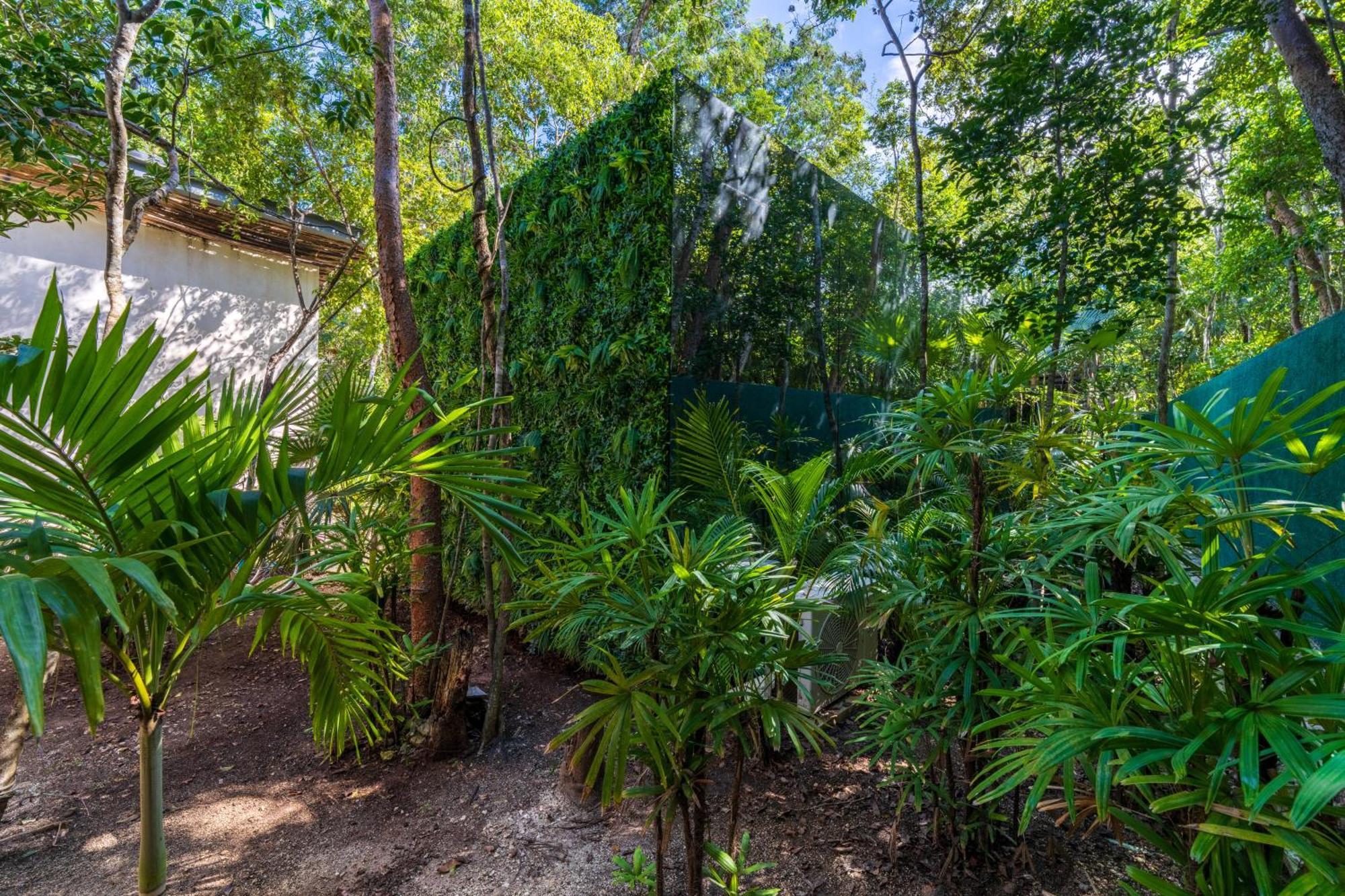 Chay Glass Jungle House Apartment Tulum