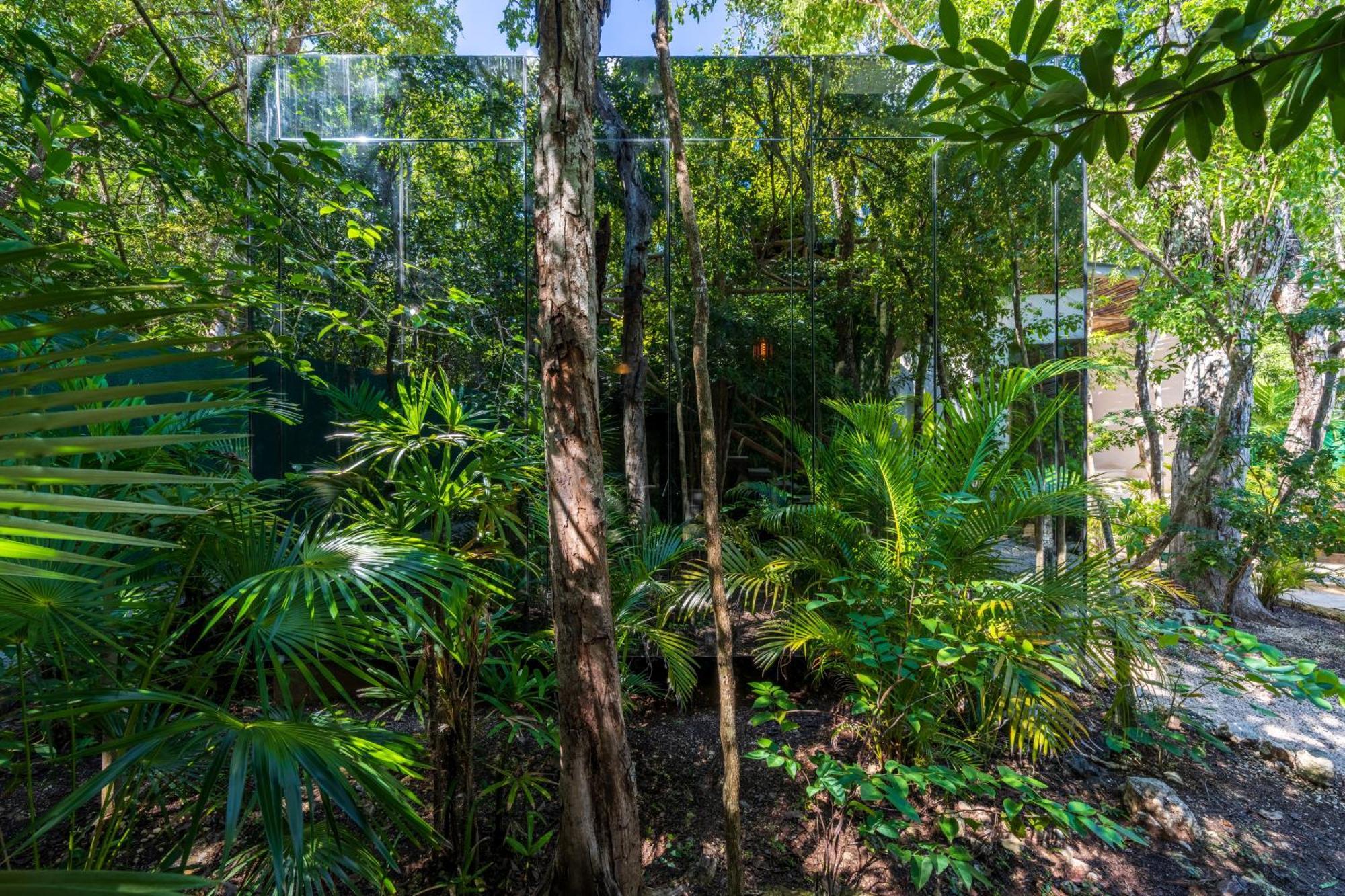 Chay Glass Jungle House