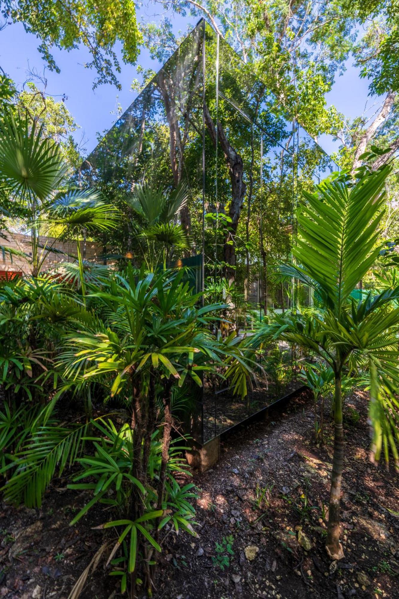 Chay Glass Jungle House Apartment *