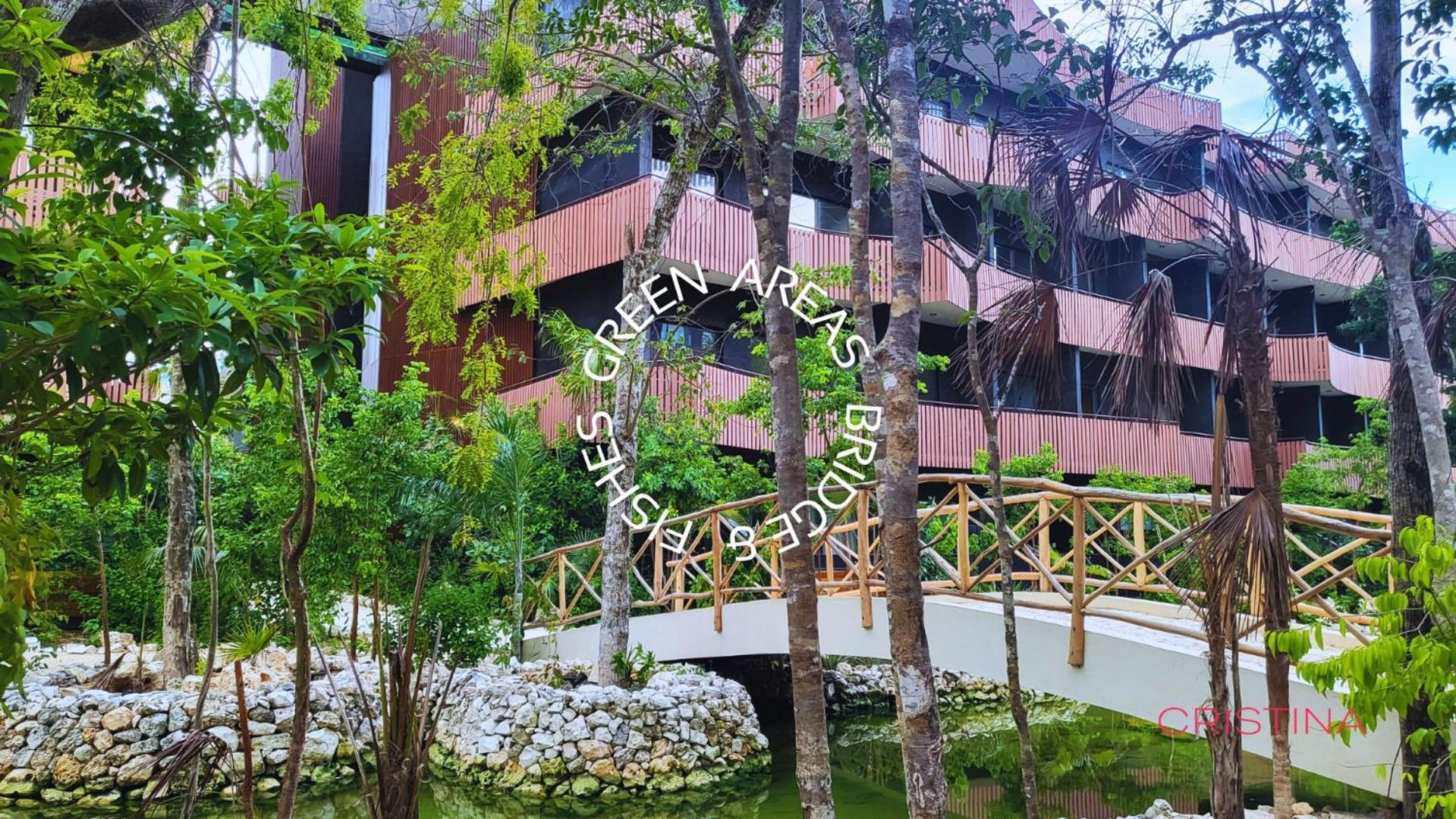 Apartment 2br - Filtered Water - Steps To Free & Jaguar Park *