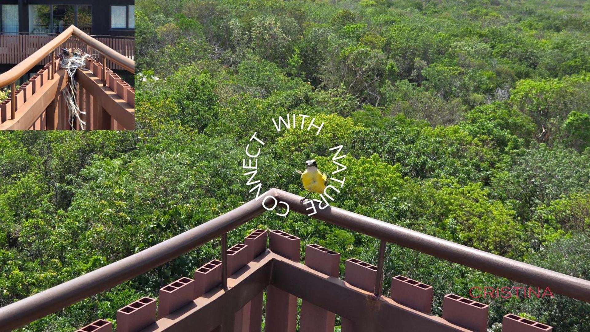 2br - Filtered Water - Steps To Free & Jaguar Park Apartment Tulum