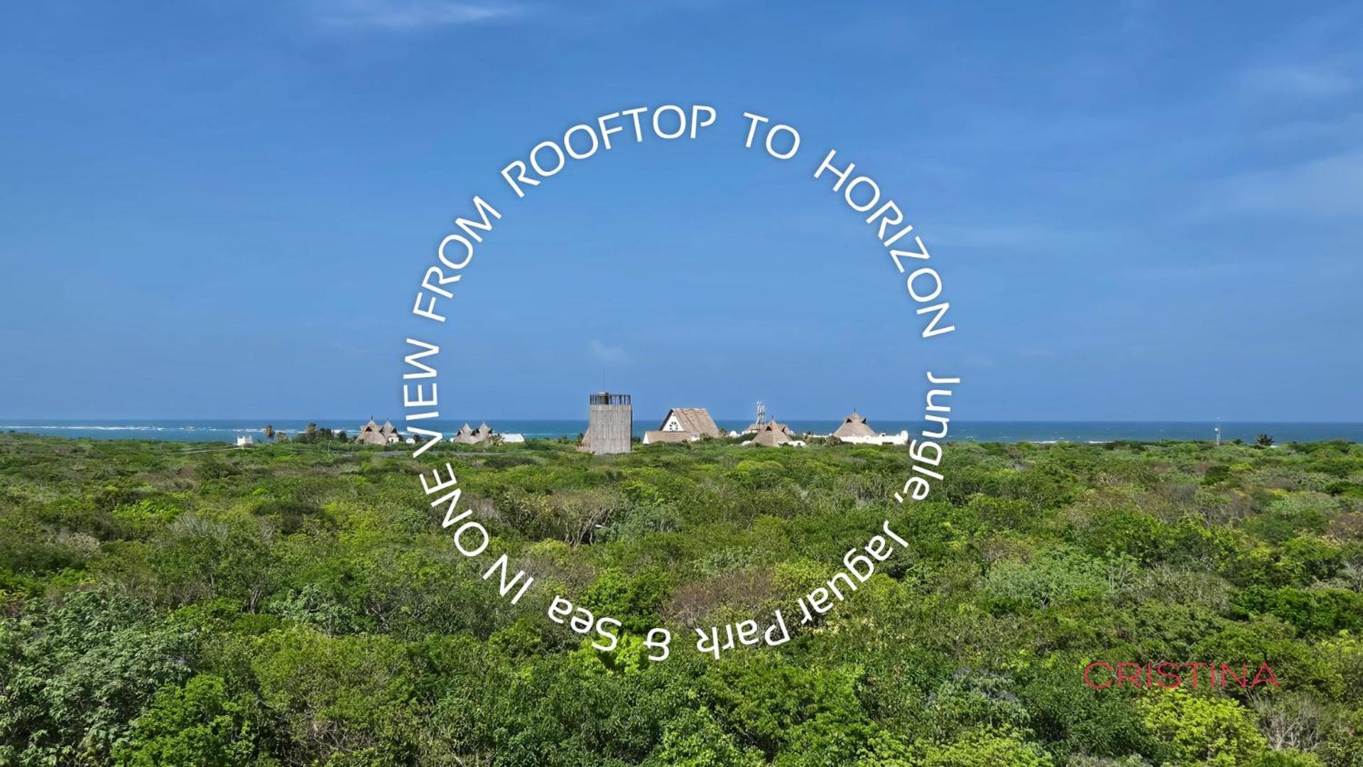 Apartment 2br - Filtered Water - Steps To Free & Jaguar Park *