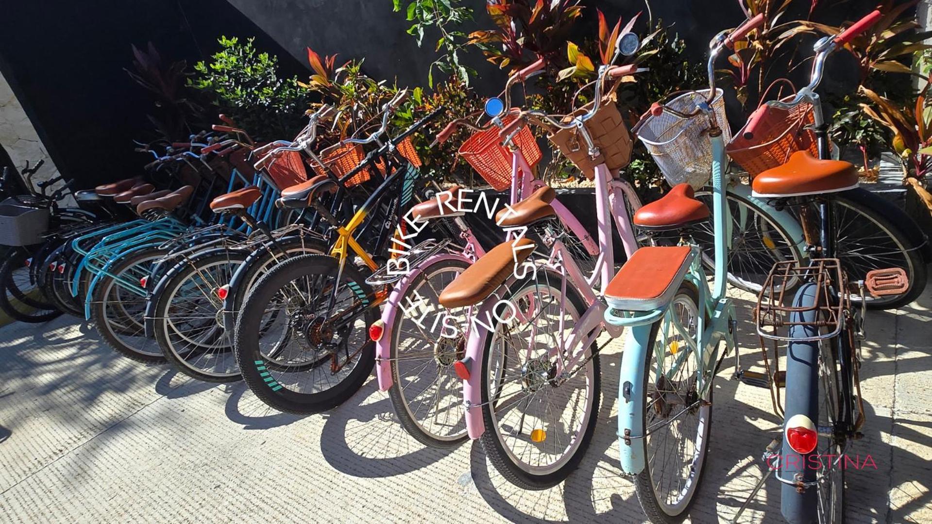 Hideaway In Zone Apartment