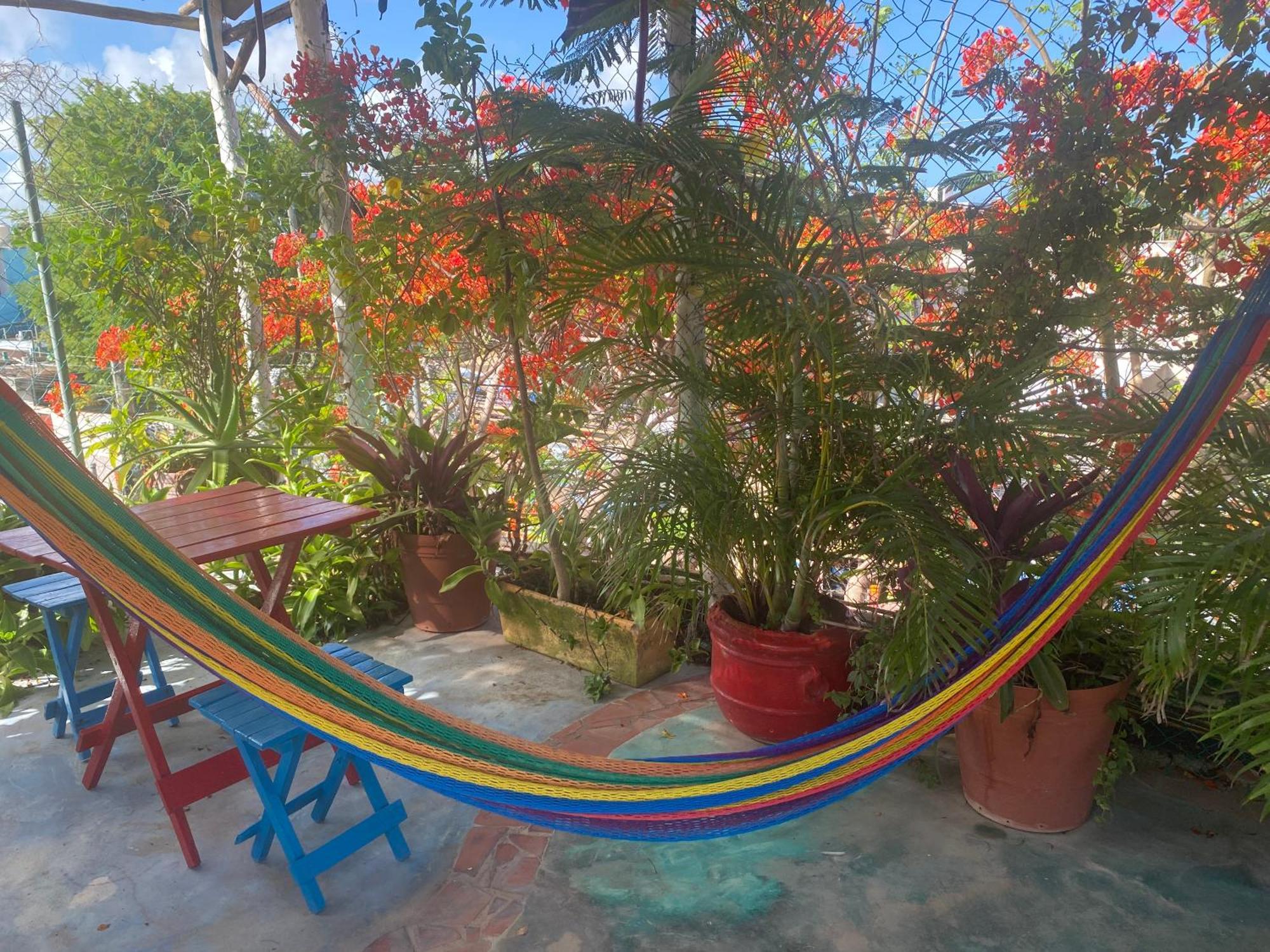 Hotel Maison 3*