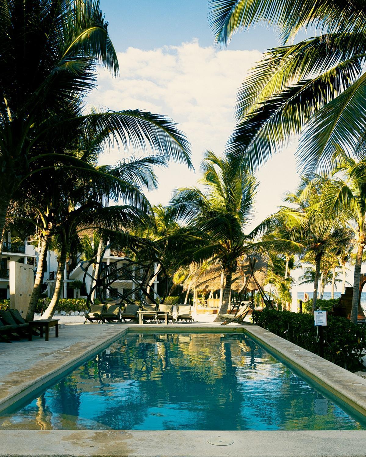 Hotel Mia Beachfront - Ocean View And Club