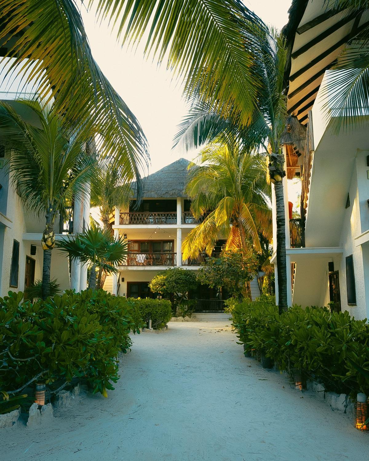 Mia Beachfront - Ocean View And Club Hotel Tulum