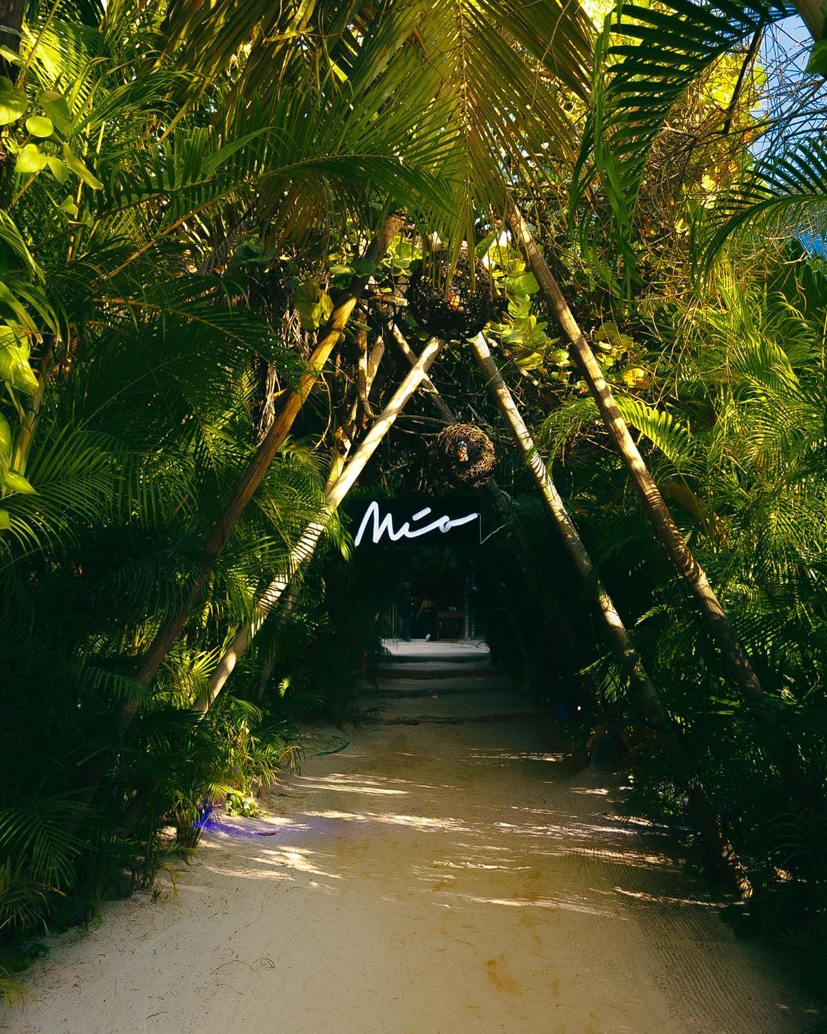 Mia Beachfront - Ocean View And Club Hotel Tulum