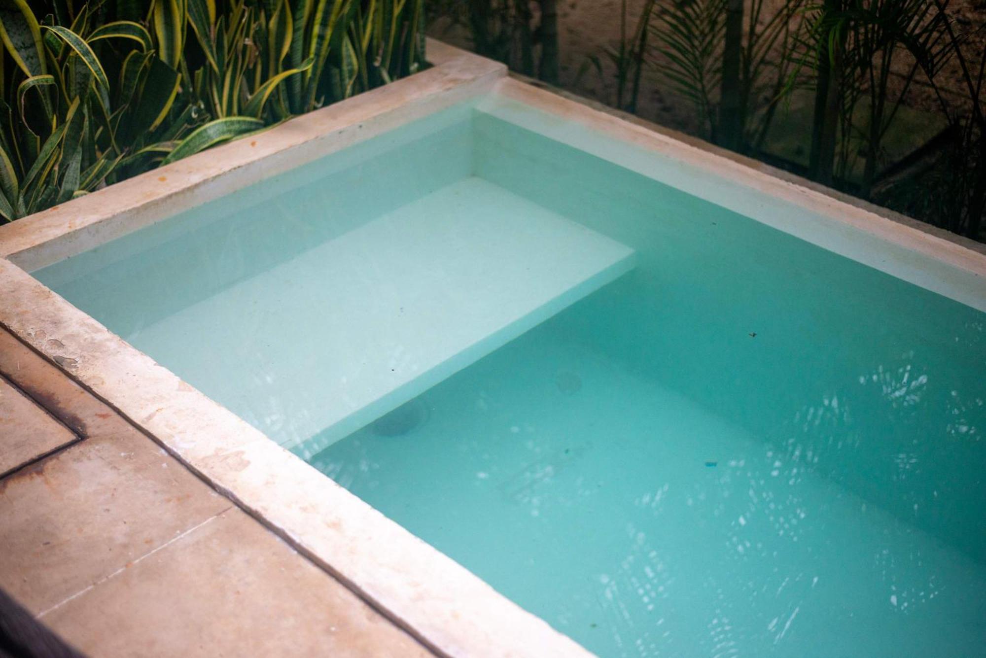 Seremonia Origen - With Plunge Pool Apartment