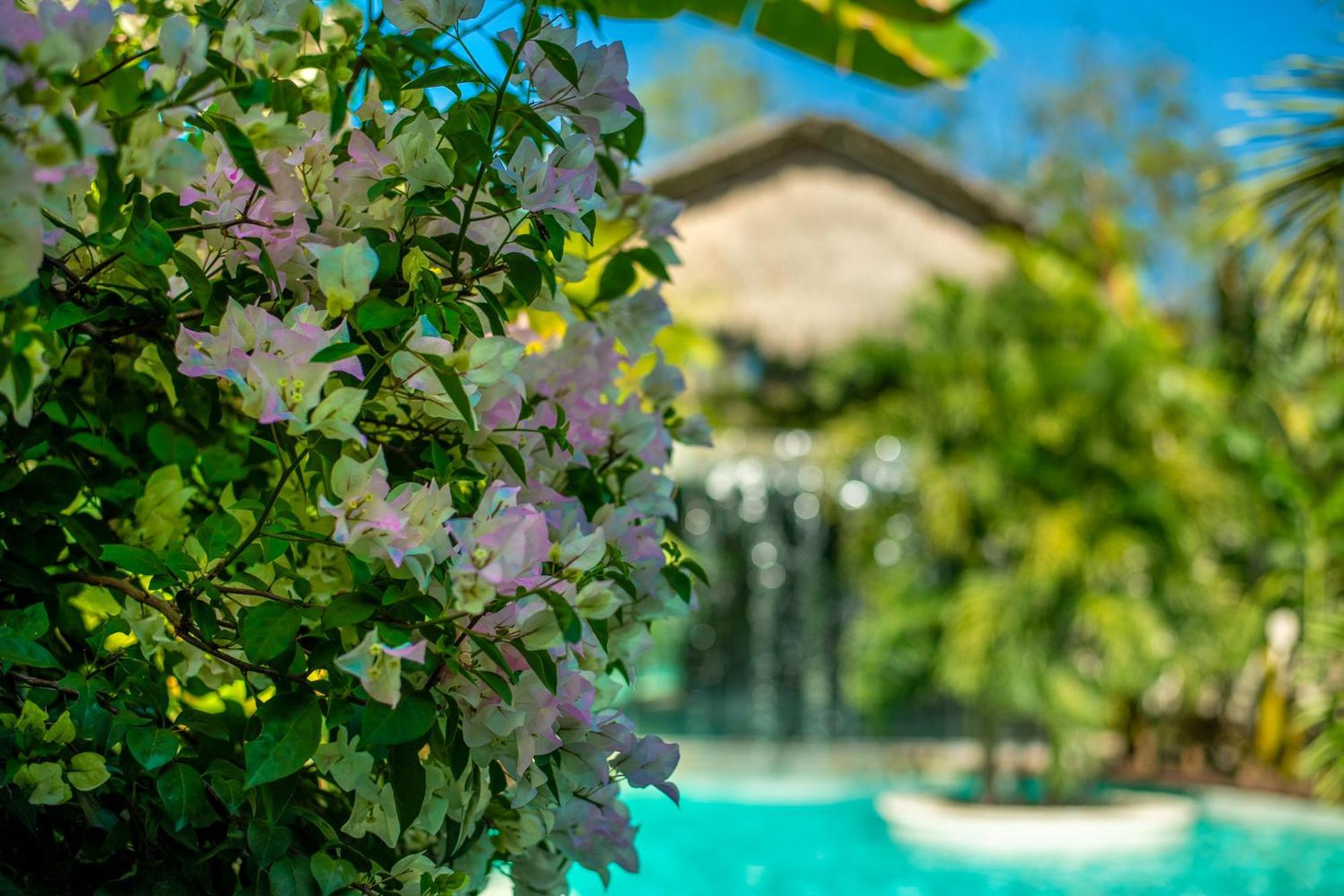 Aparthotel Xp By Dream Vacay