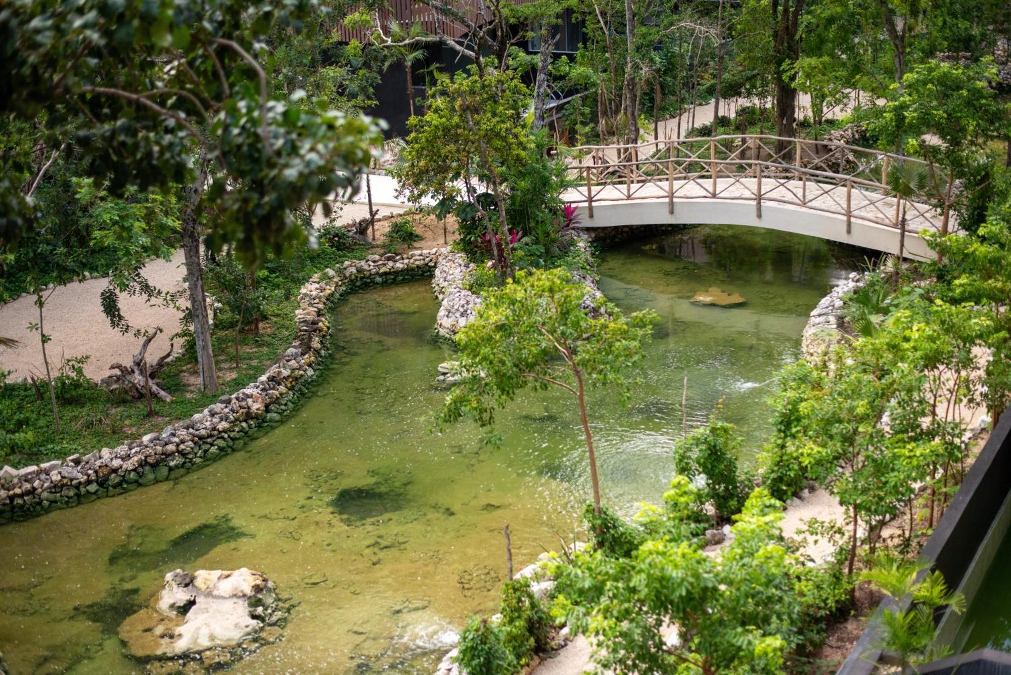 1bd Free Club & Sea View Rooftop Pools Apartment Tulum