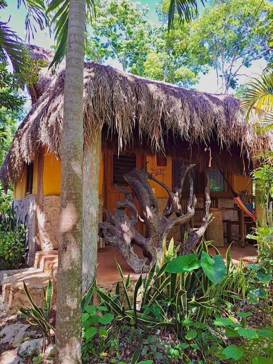 Bed & Breakfast Casa Mango Tulum