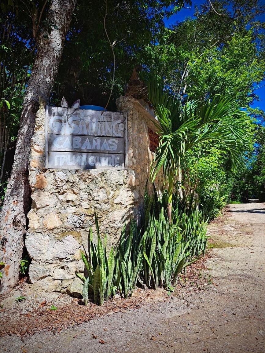 Casa Mango