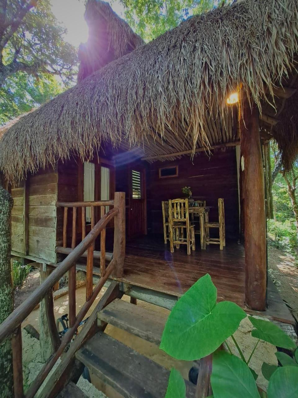 Casa Mango