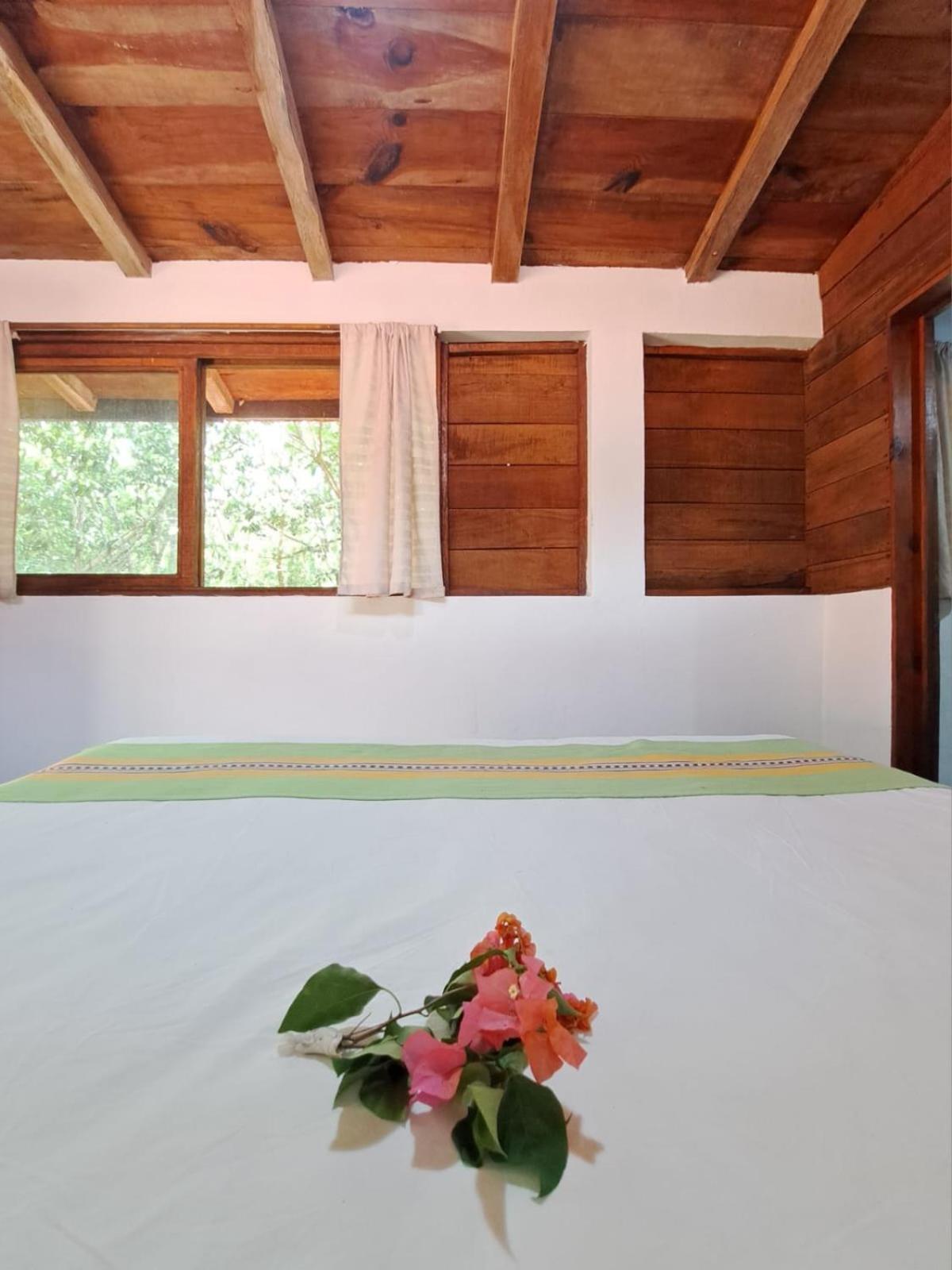 Bed & Breakfast Casa Mango 3*