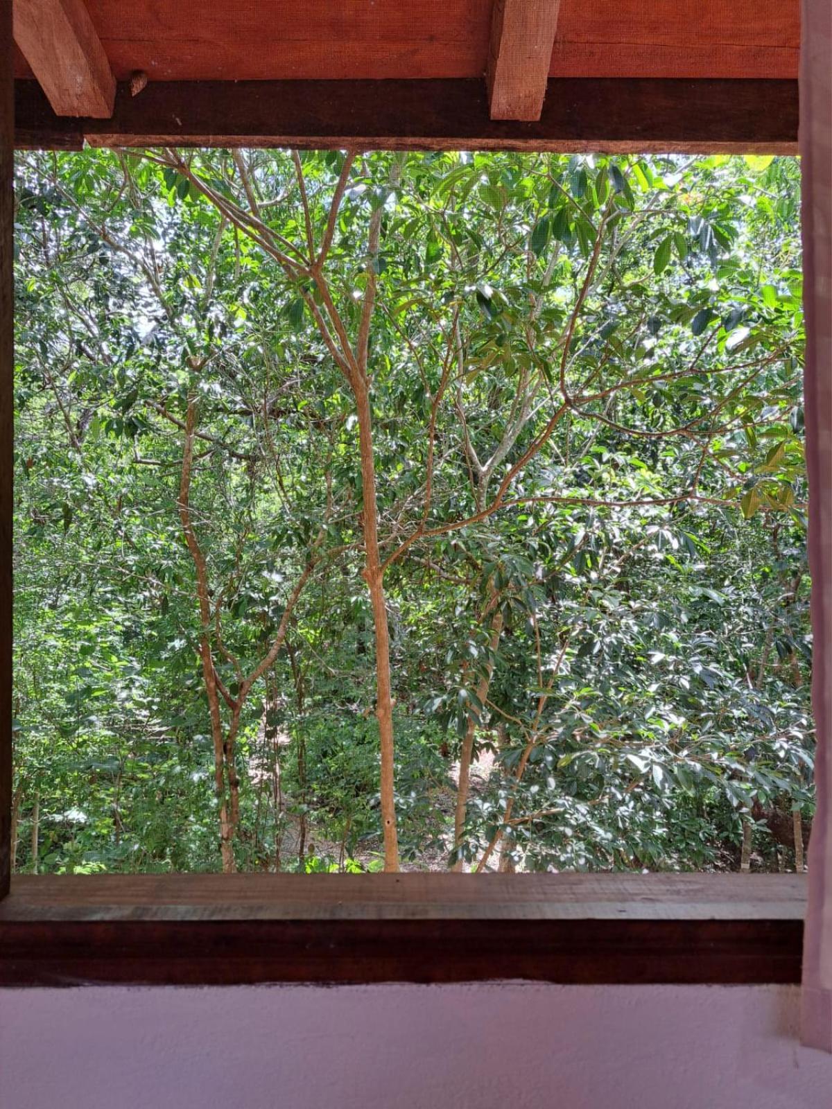 Casa Mango