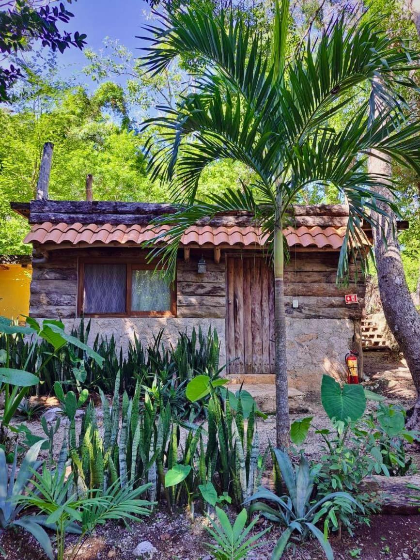 Casa Mango Bed & Breakfast