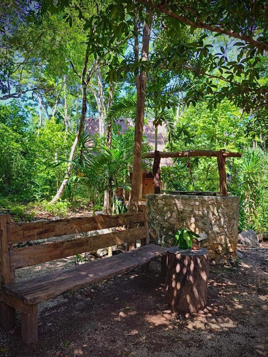 Casa Mango Bed & Breakfast