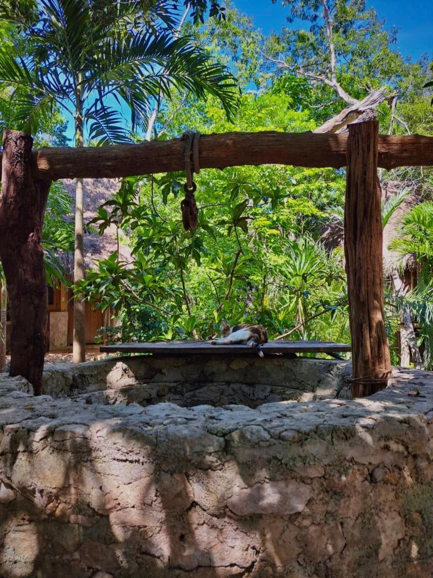 Casa Mango Bed & Breakfast 3*