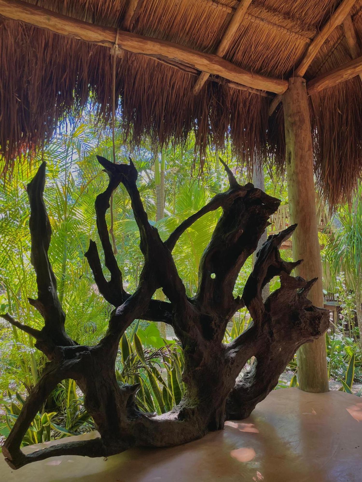 Casa Mango