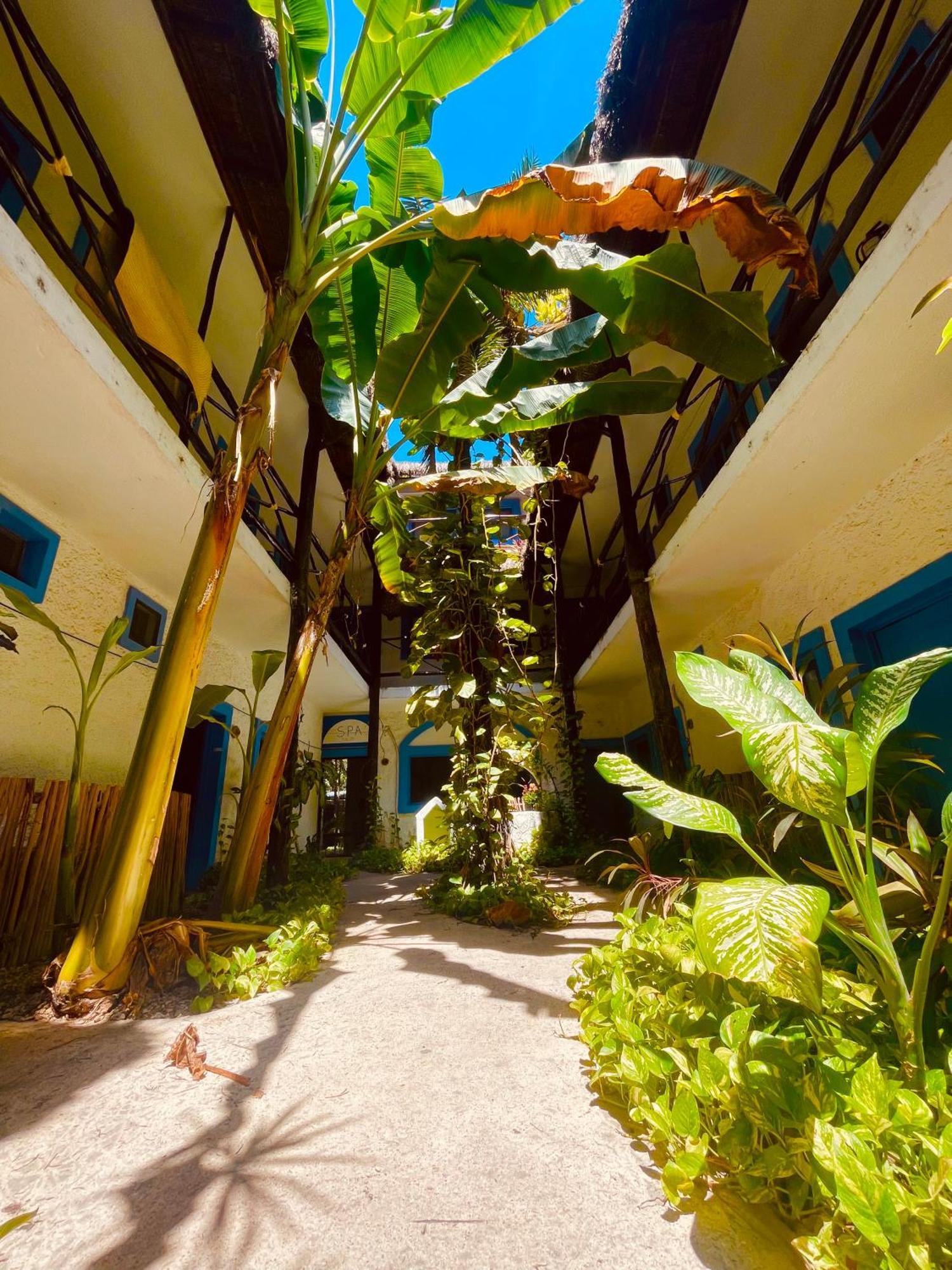 Hotel Mio Boutique Tulum