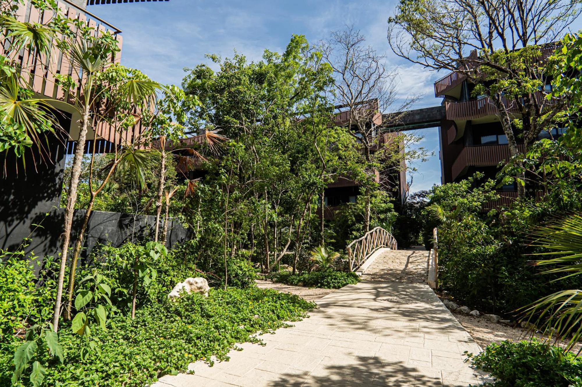 Aparment In The Zone Of Tulum