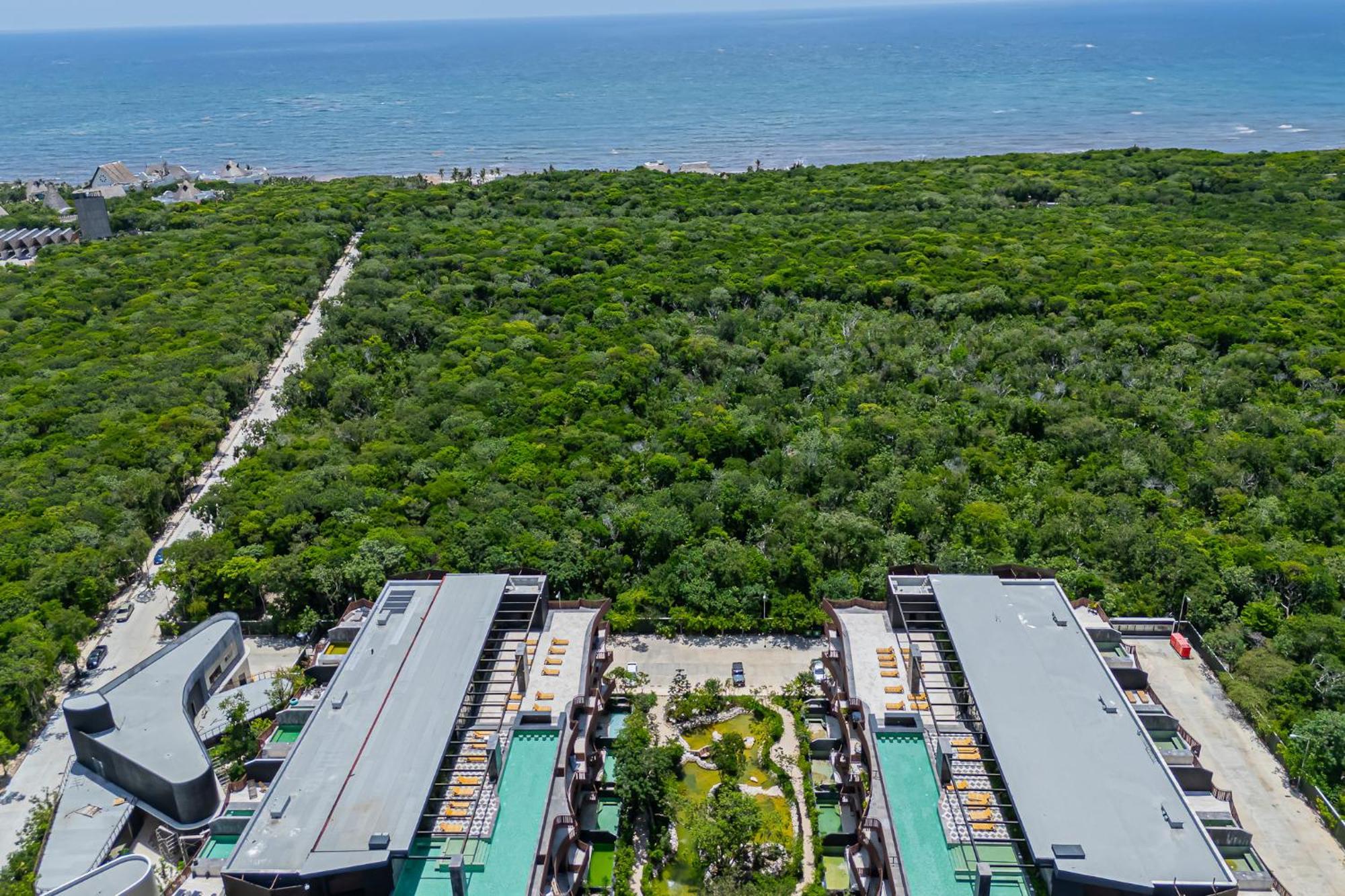 Aparment In The Zone Of