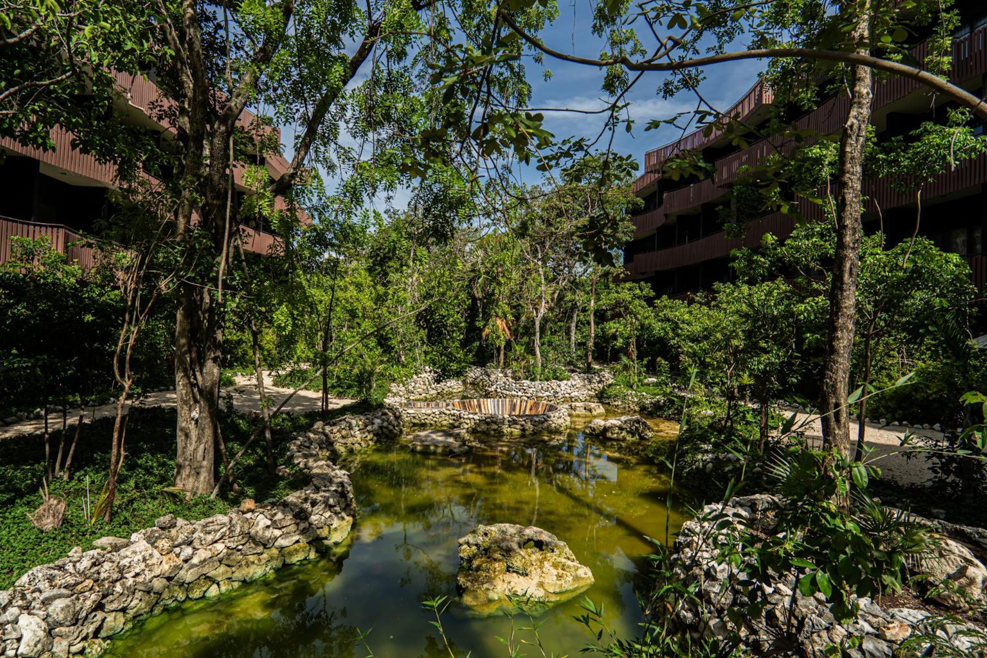 Aparment In The Zone Of Tulum