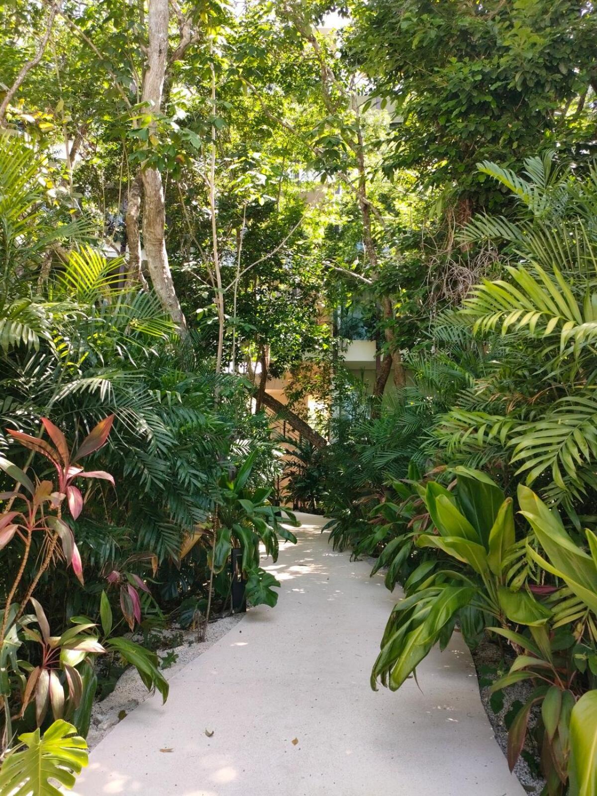 Apartment Discreet Luxury Between Jungle And Caribbean Mistiq T 2 Tulum