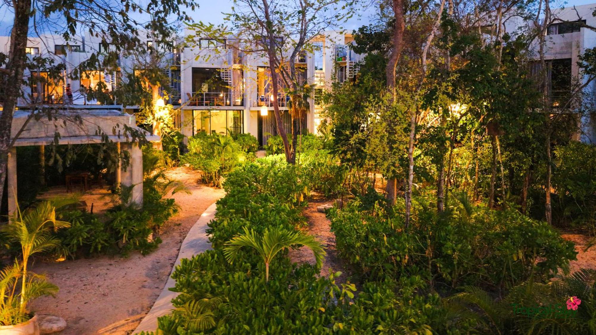 Piece Of Mayan Jungle Private Pool 403 Tulum