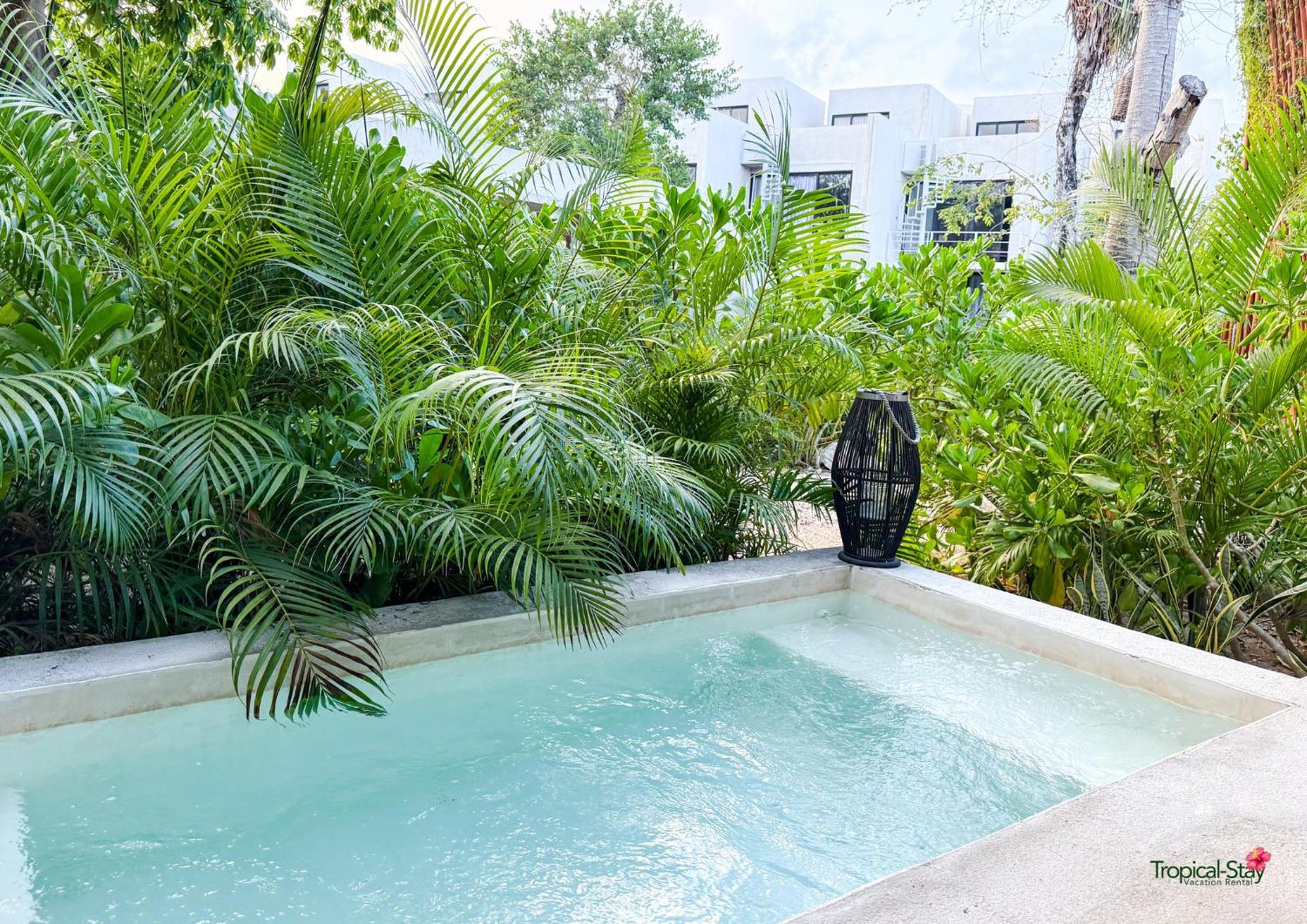 Apartment Piece Of Mayan Jungle Private Pool 403