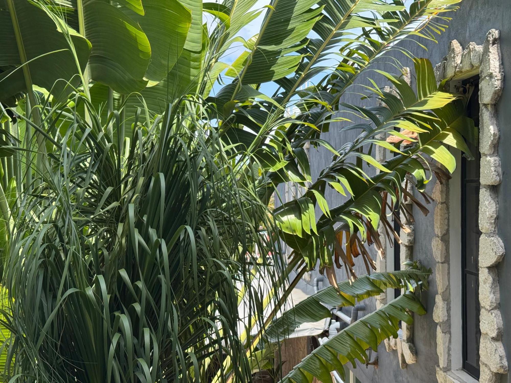 Hotel Orula Experiences