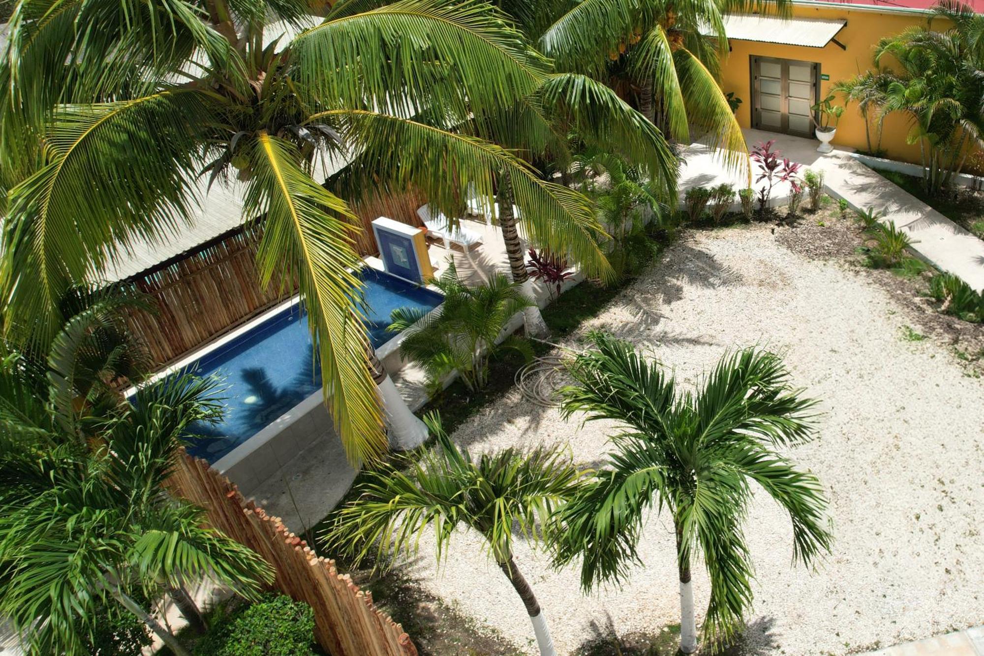 Bugambilia Hacienda La Floresta