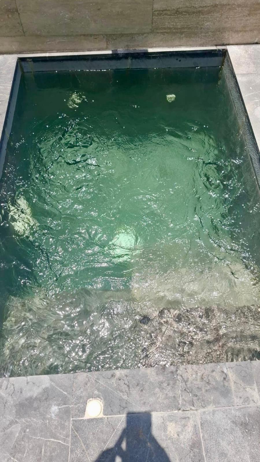 Apartment Plunge Pool Duplex Ph With Club Shuttle And Gym