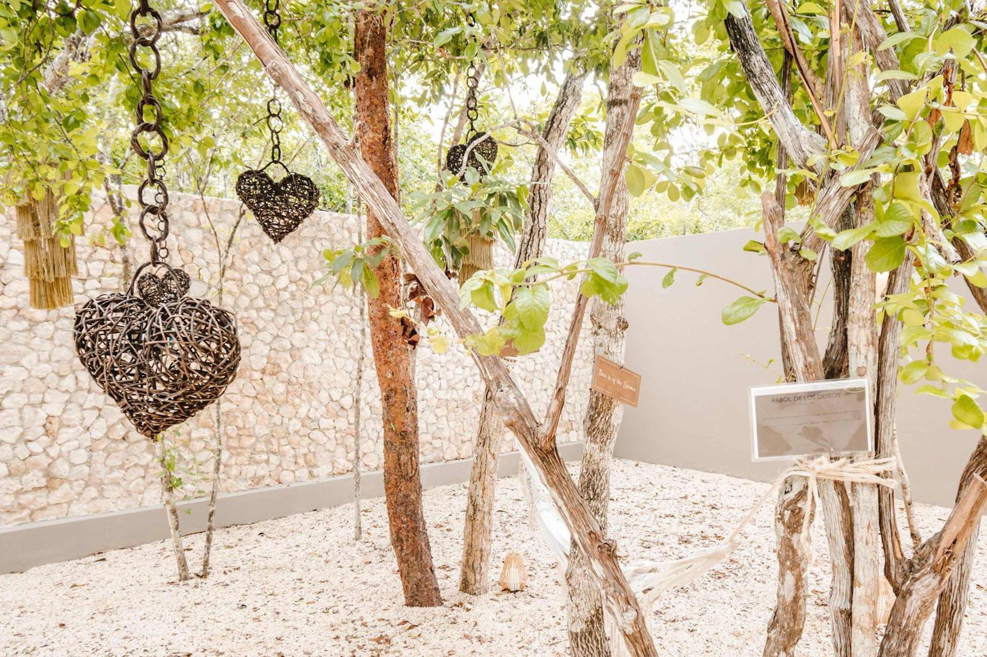 Selva Pixan With Rooftop Pool Tulum