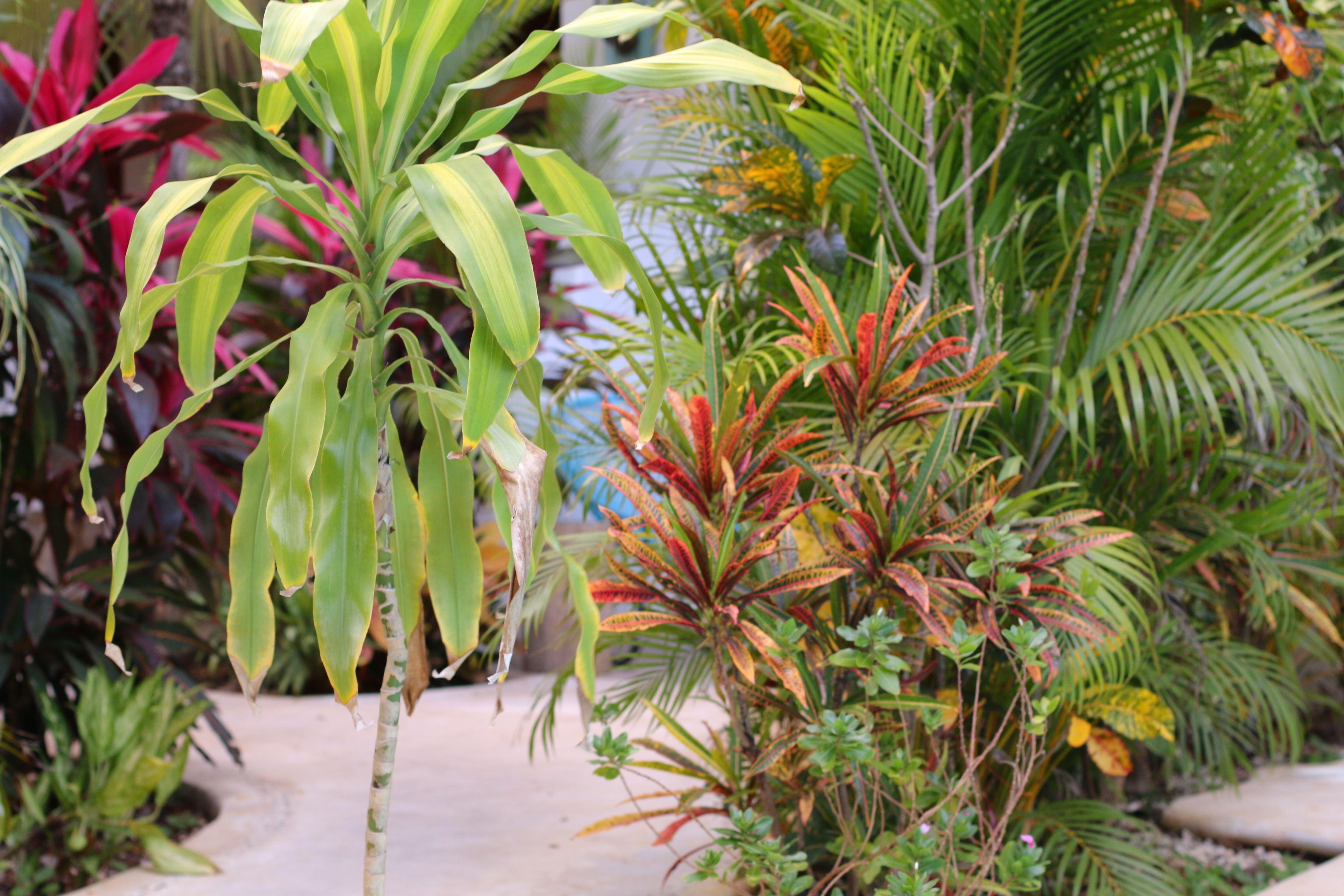 Aparthotel Livetulum 4*