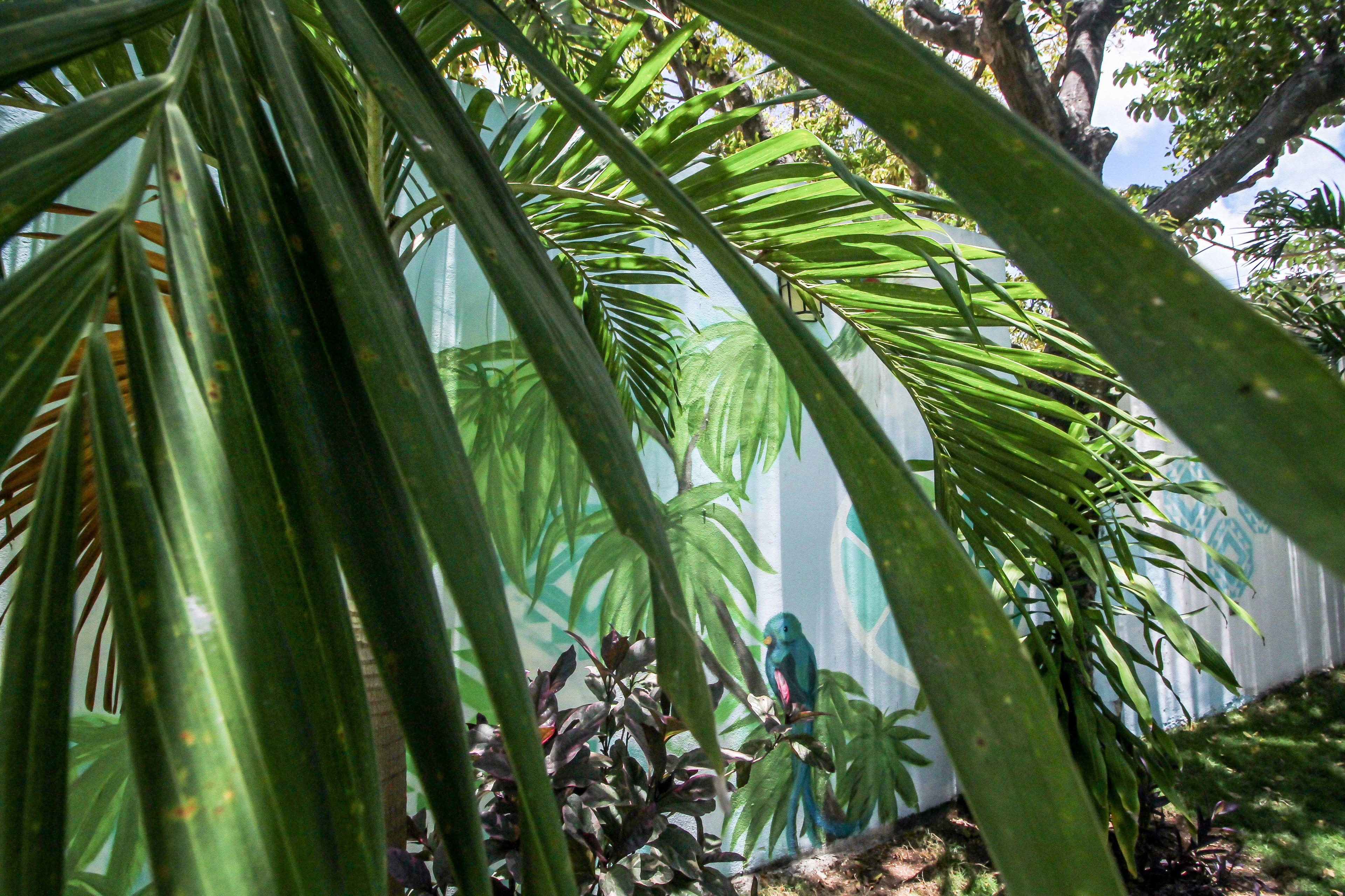 Eos Wellness By Amazonia Tulum