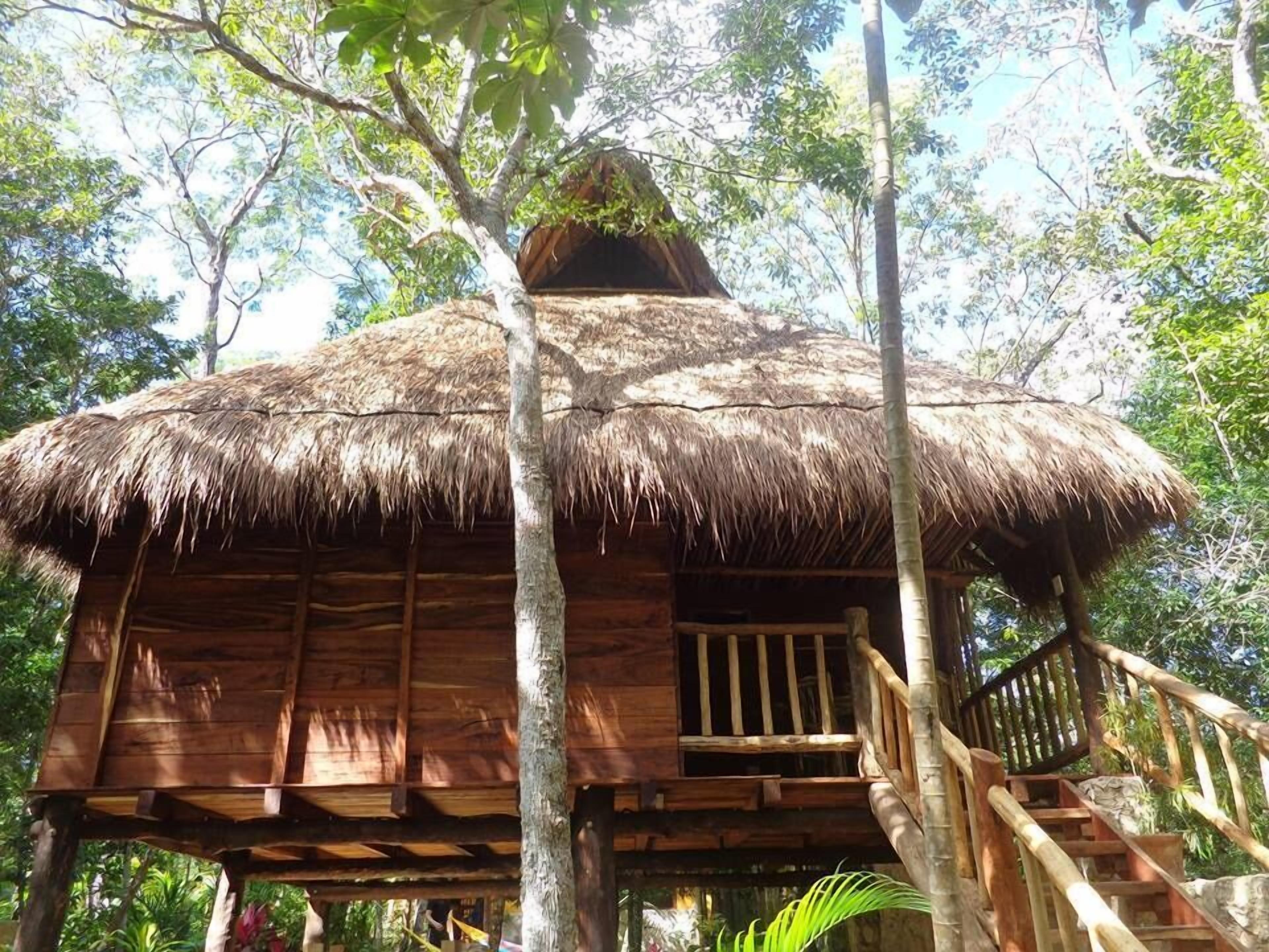 Bed & Breakfast Casa Mango 3*