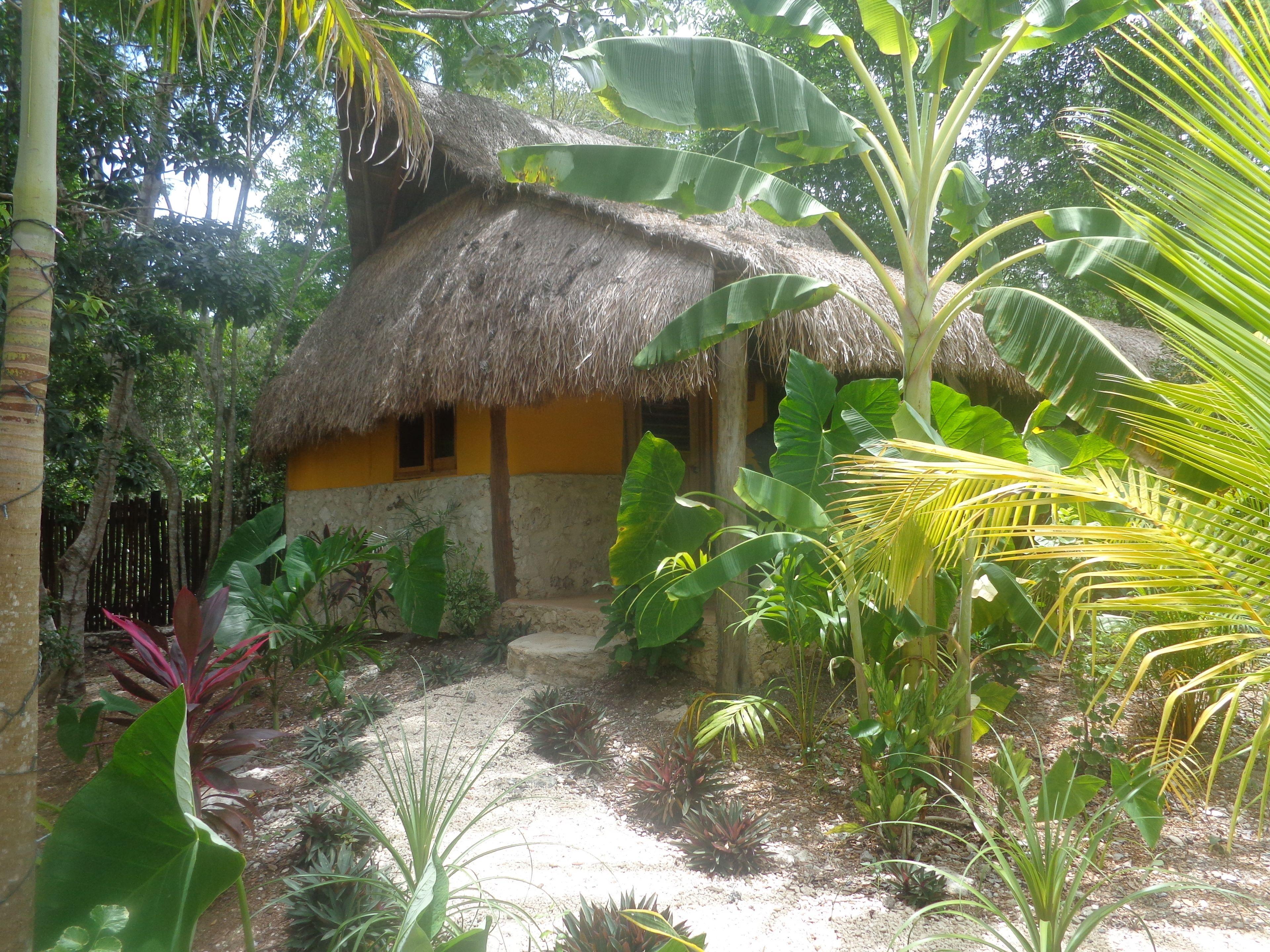 Casa Mango Bed & Breakfast
