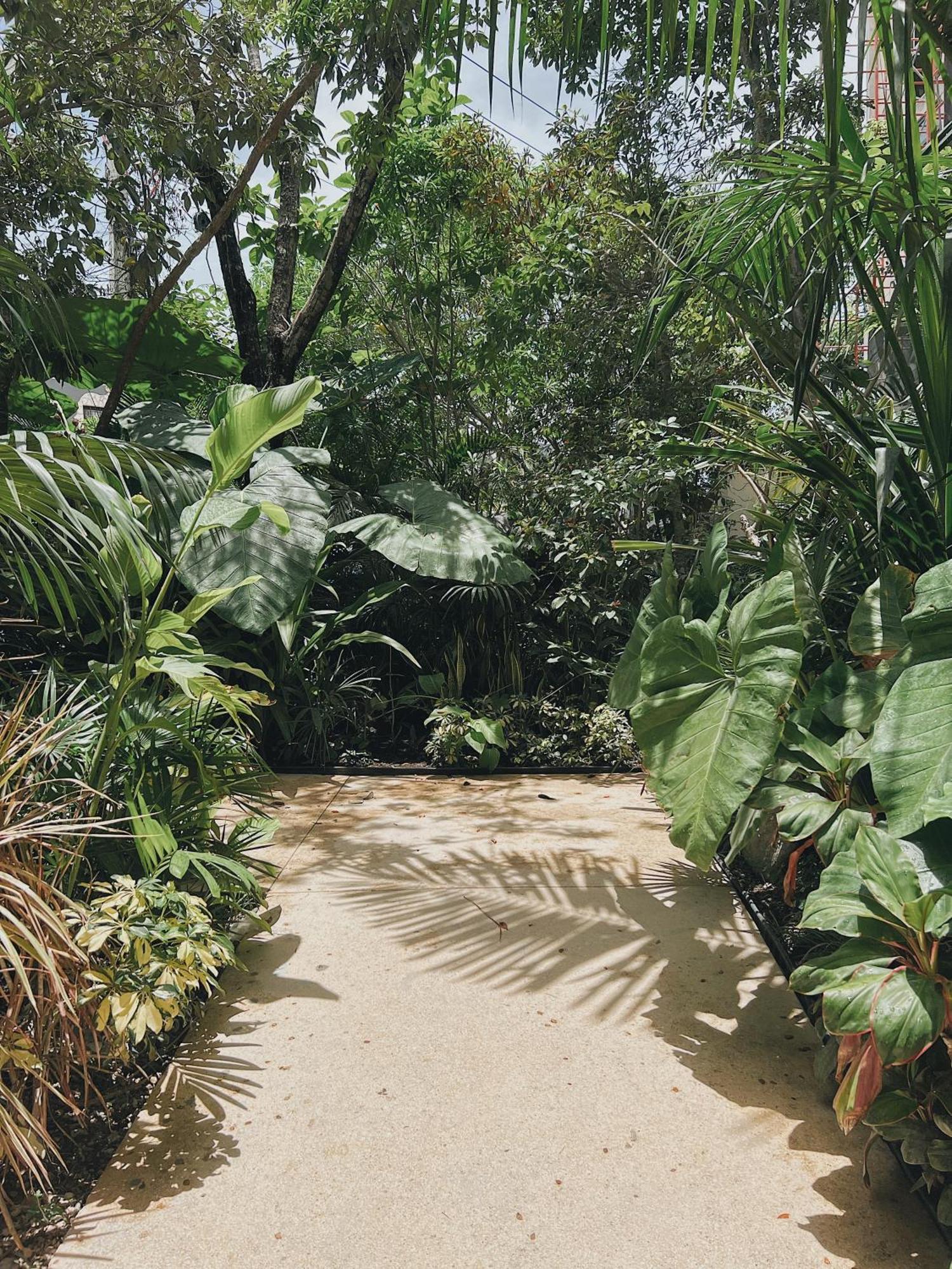 Refugio De Lujo En Holiday home Tulum