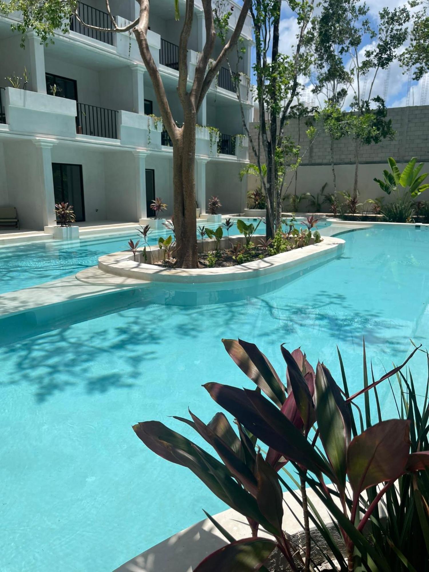 Modern In Core Pool Nature Apartment Tulum