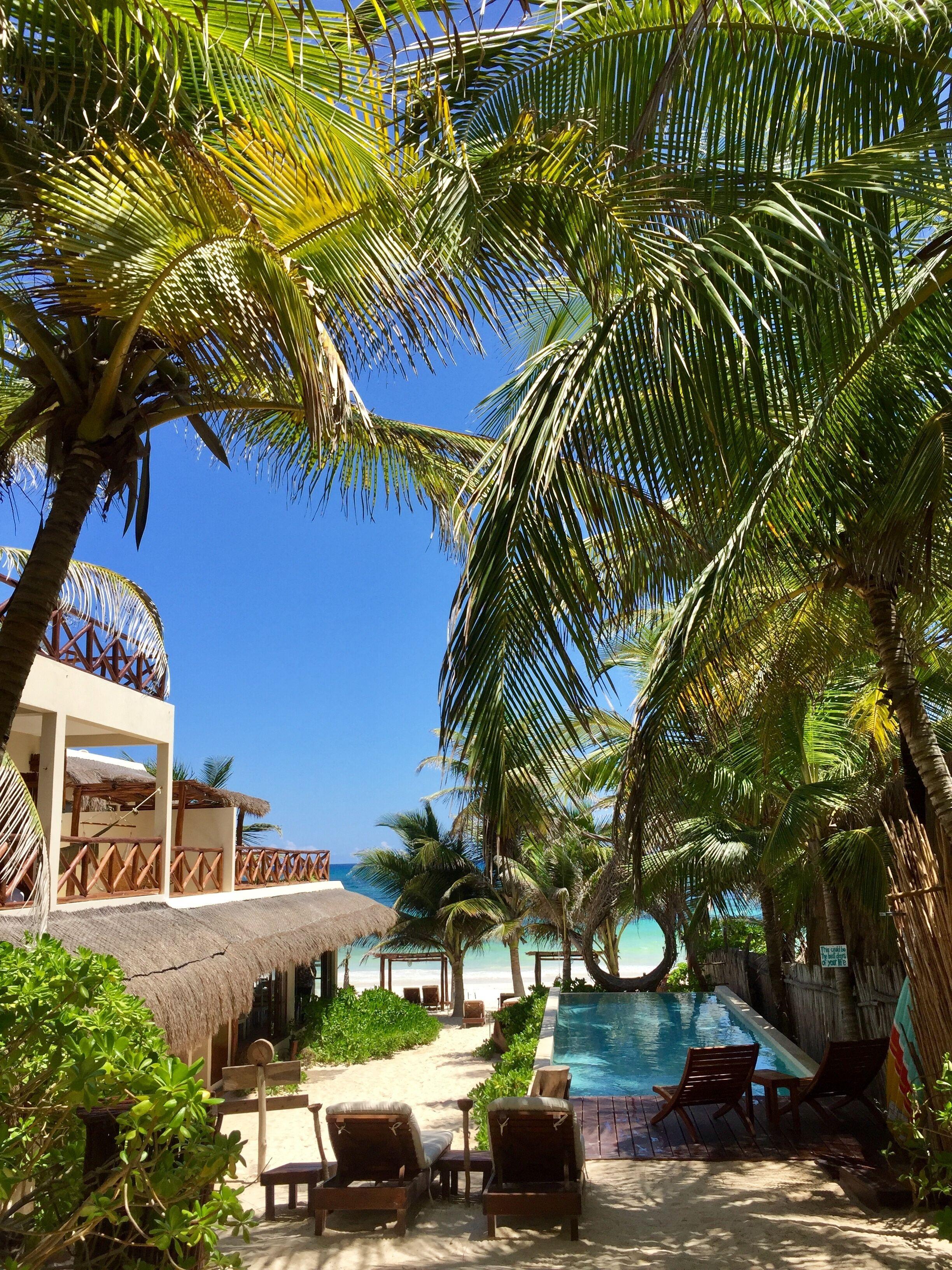 Dune Boutique Located At The Party Zone (adults Only) Hotel 4*